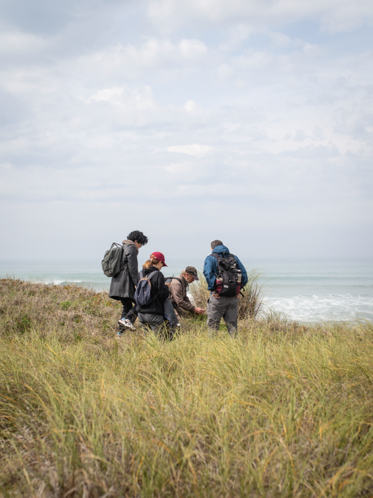 BECA CONSTELACIONES 2025